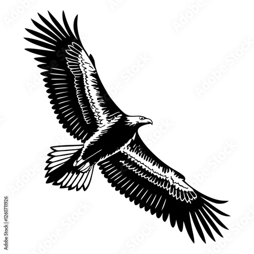 Elegant Eagle with Wings Fully Extended