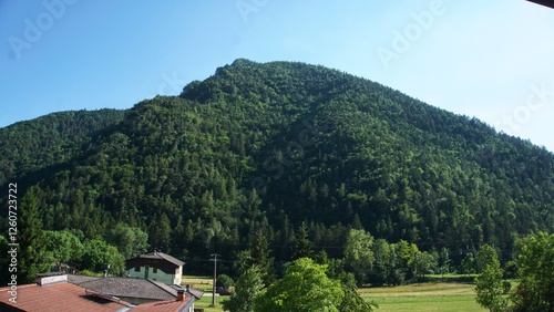 Nature in Bezzecca, Trento (Italy)