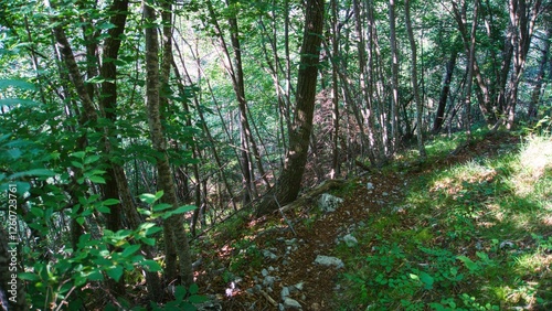 Nature in Bezzecca, Trento (Italy)