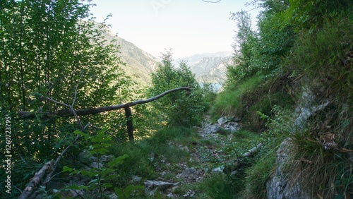 Nature in Bezzecca, Trento (Italy)
