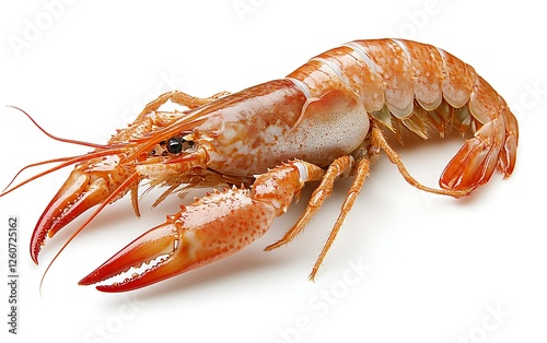 Wallpaper Mural Cooked crayfish isolated on white. Seafood recipe ingredient Torontodigital.ca