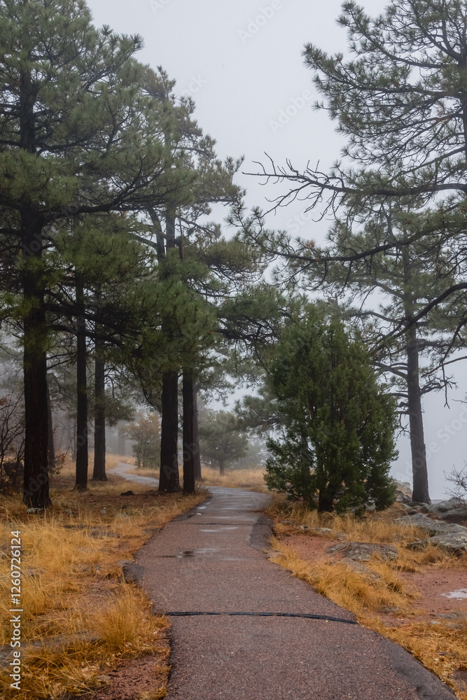 Obraz premium The Mogollon Rim mountain range in Tonto National Forest. Near Payson, Gila County, Arizona USA