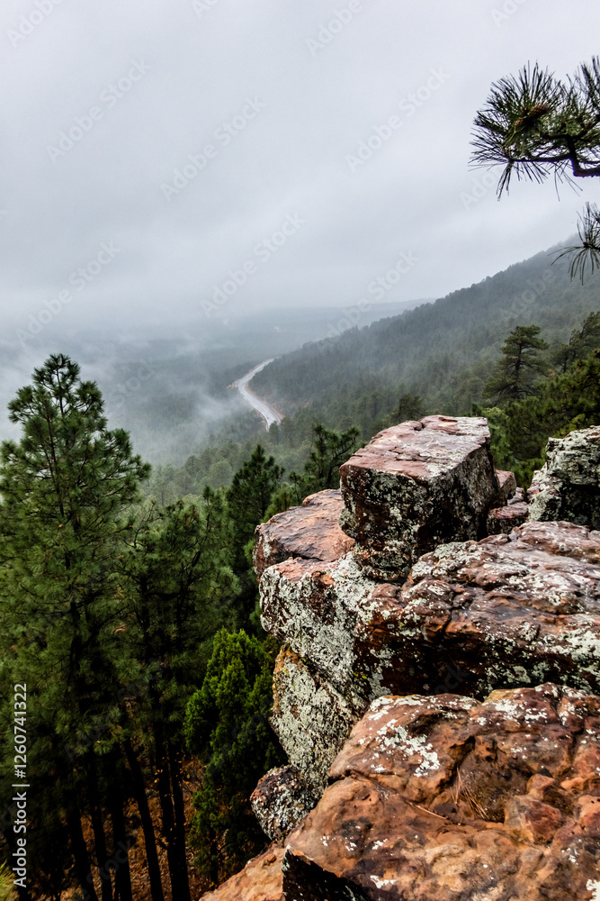 The Mogollon Rim mountain range in Tonto National Forest. Near Payson, Gila County, Arizona USA The Mogollon Rim mountain range in Tonto National Forest. Near Payson, Gila County, Arizona USA