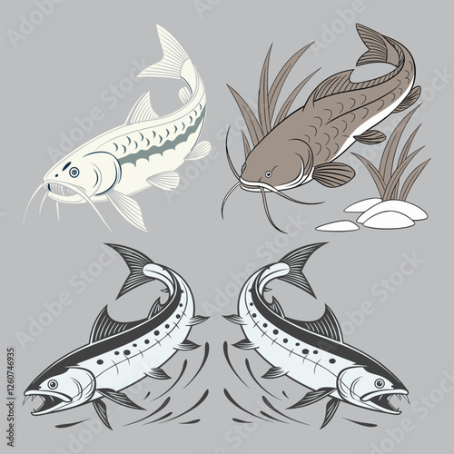 vector illustration of a fish