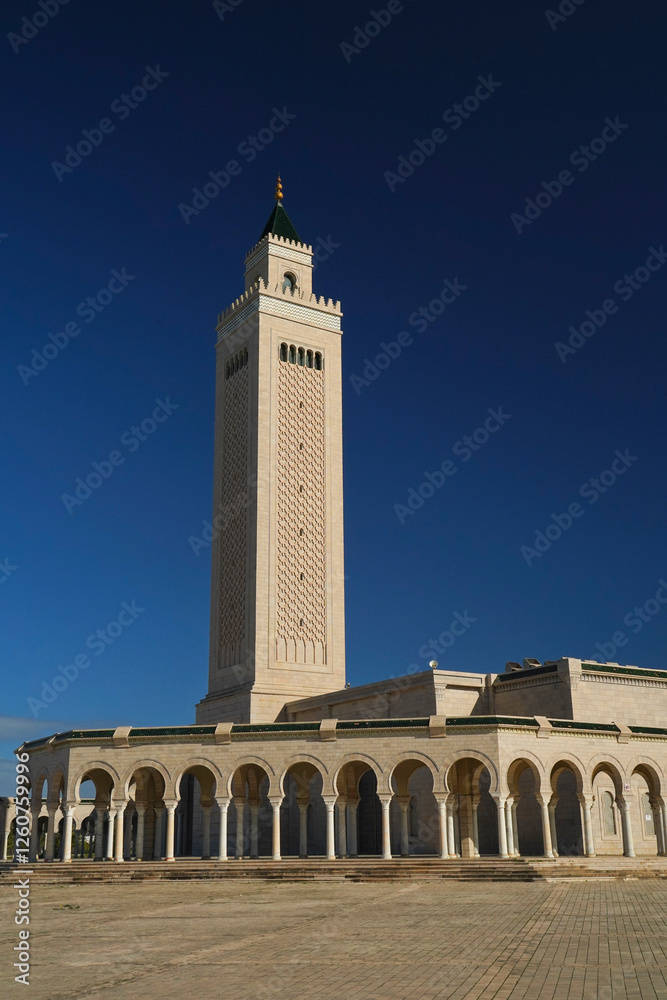 Fototapeta premium La monumentale moschea Malik Ibn Anas, Cartagine. TUNISIA
