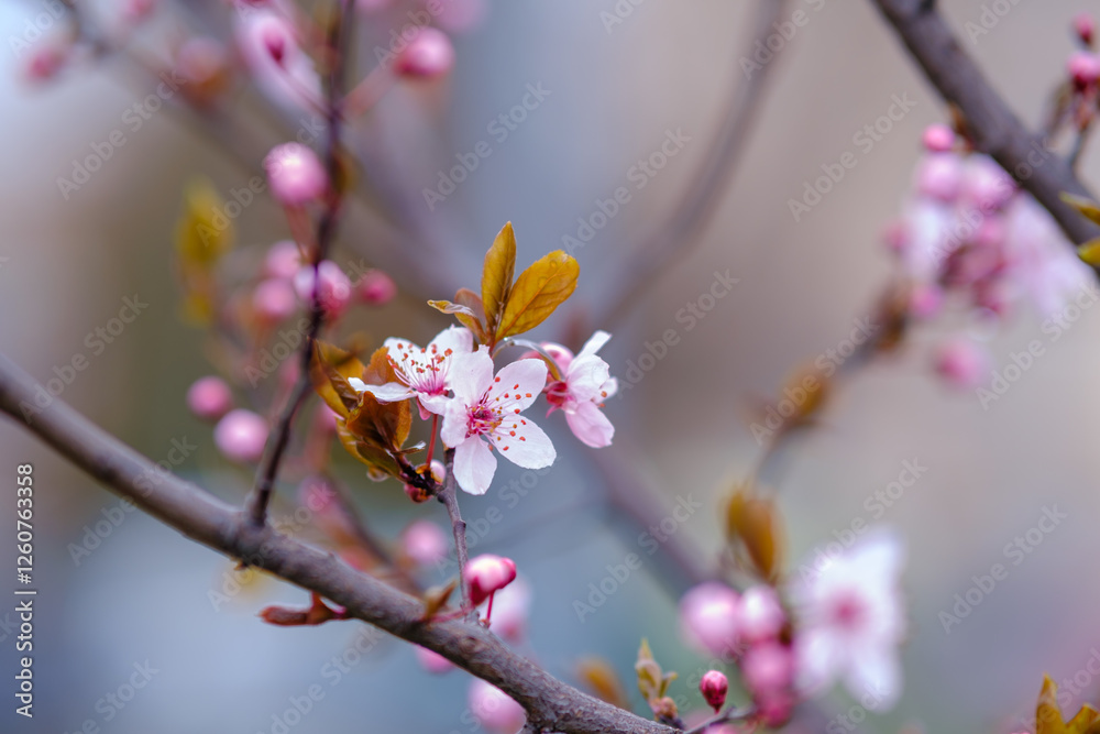 A bee sits gracefully on a vibrant pink flower on a tree branch A bee sits gracefully on a vibrant pink flower on a tree branch