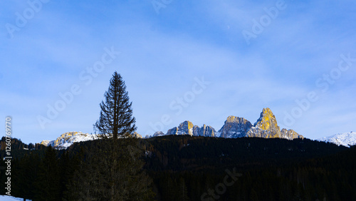 Winter in the mountains