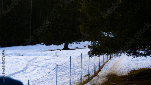 Winter in the mountains