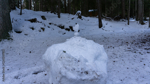 Winter in the mountains