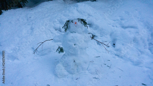 Winter in the mountains