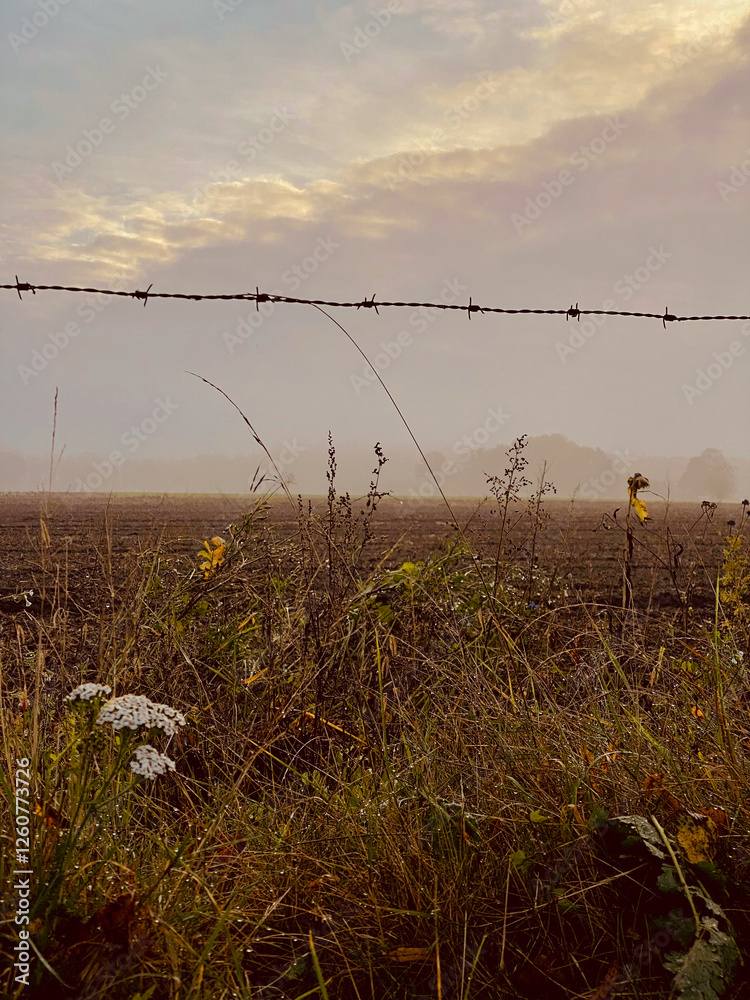 foggy autumn landscape with barbed wire in the meadow