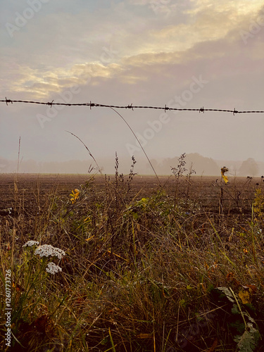 Obraz na płótnie foggy autumn landscape with barbed wire in the meadow w salonie