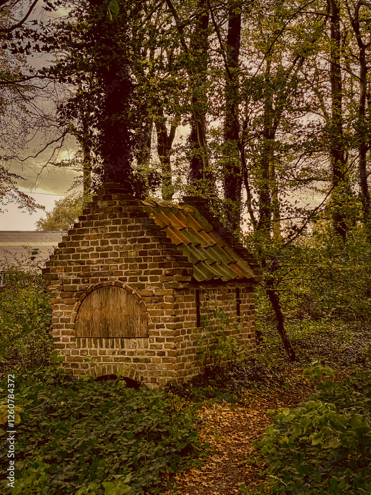 An old little hut in the middle of the forest