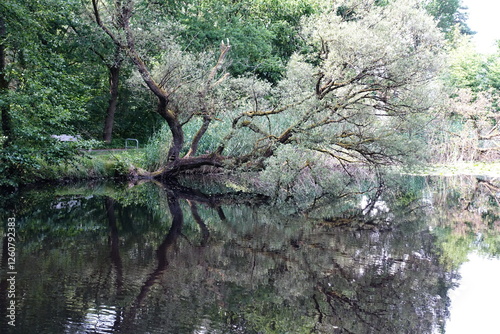 Seerosenweiher bei muehlheim am main photo