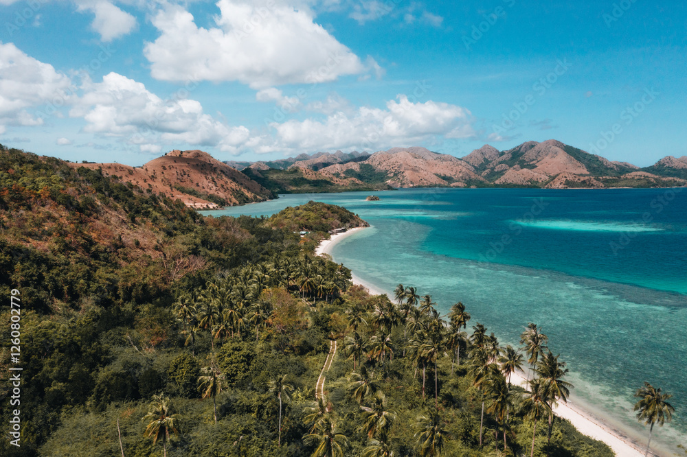 Fototapeta premium Majestic Tropical Beach with Coral Reef and Serene Road to Paradise in Coron