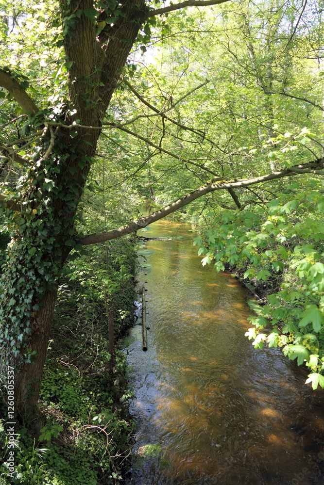 Rodau bei Hausen Rodau bei Hausen