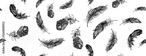 Feather Pattern  Black and White 

