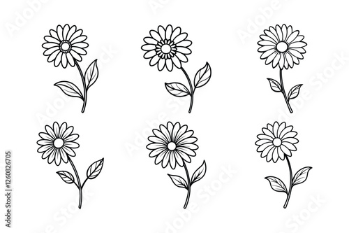 Daisy (Bellis perennis) line art vector illustration