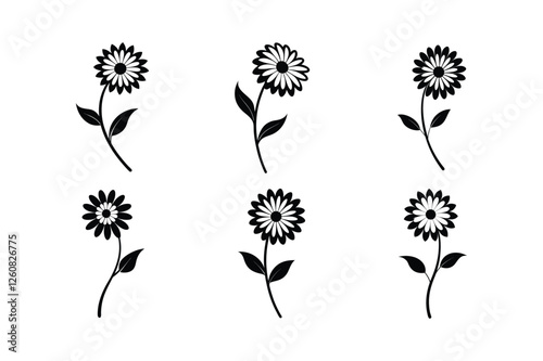 Daisy (Bellis perennis) silhouette vector illustration