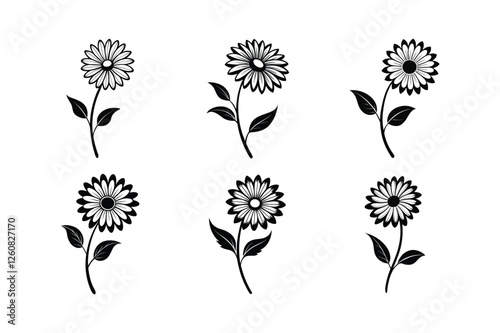 Daisy (Bellis perennis) silhouette vector illustration