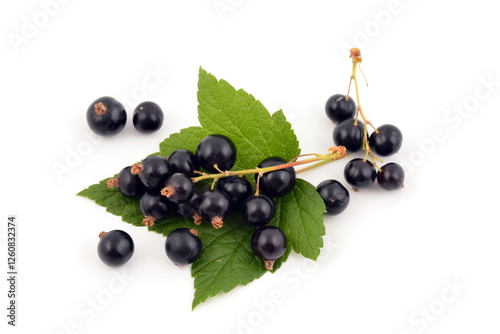Black currant with green leaves isolated on white background.