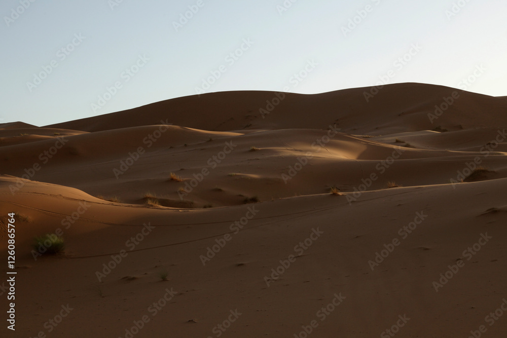 Sand hills, dunes of the Sahara, Morocco Sand hills, dunes of the Sahara, Morocco