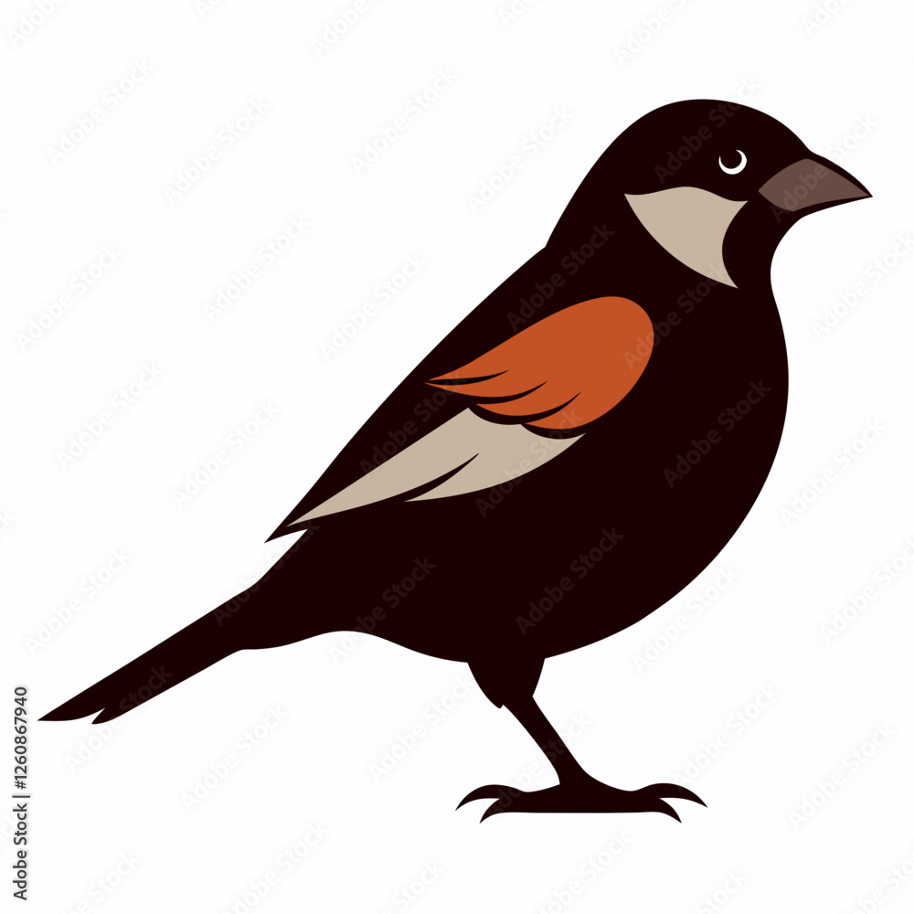 bird silhouette isolated on white bird silhouette isolated on white