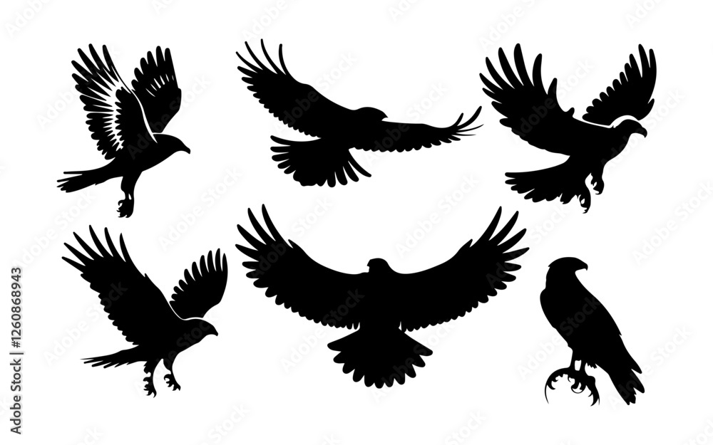 Obraz premium Flying Eagle Silhouette Vector Set Perfect for Logos T-Shirts and Digital Art