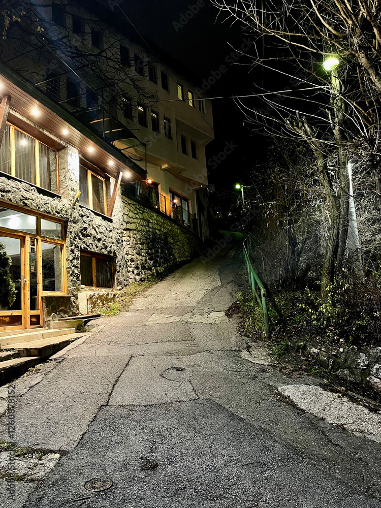 Obraz premium Night Pathway to the Building: Lighting and Silence