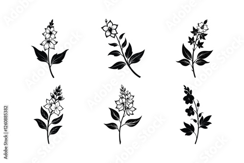 Delphinium (Delphinium spp.) silhouette vector illustration