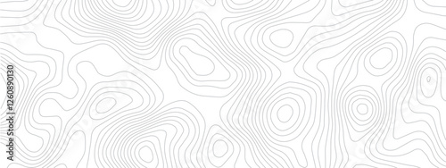 Topographic Design Pattern with Seamless Lines Representing Area Spaces and Grid Layouts on a Modern Geometric Map

