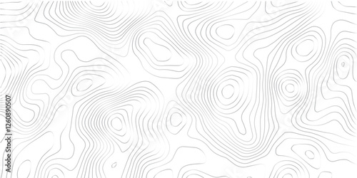 Contemporary Abstract Topographic Map with Geometric Lines and a Clean Modern Grid Layout on a White Background
