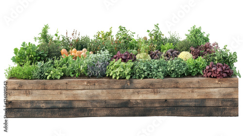 3D rendering of plants in wooden raised beds, an urban vegetable garden with herbs and vegetables, png transparent or isolated on white background