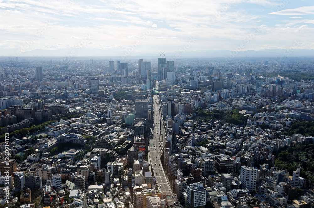 Fototapeta premium Aerial panorama of Downtown Tokyo at sunset, with view of high-rise towers clustering in Shibuya area and an arterial highway stretching among crowded buildings out to distant horizon in hazy dusk