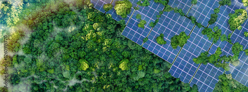 Solar panels installed in the green forest, clean alternative energy concept, sustainable energy, environment, solar power, generator photo