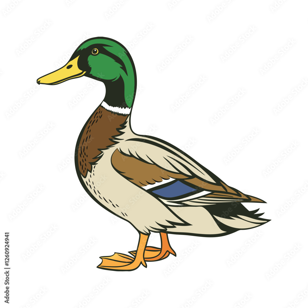 Obraz premium color vector duck on a white background