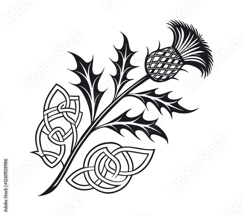 Scottish thistle vector Line art in Celtic style flower illustration