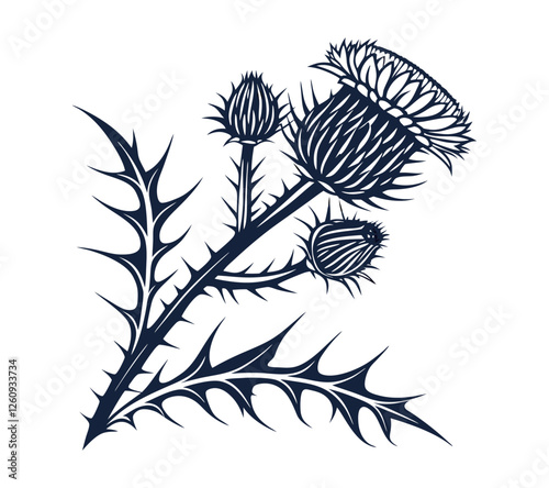 Scottish thistle vector Line art in Celtic style flower illustration