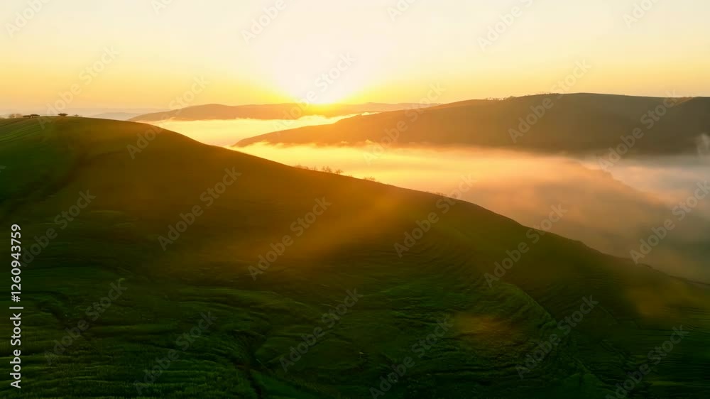 Golden Sunrise Over Rolling Green Hills with Low-Lying Fog in the Valley Golden Sunrise Over Rolling Green Hills with Low-Lying Fog in the Valley