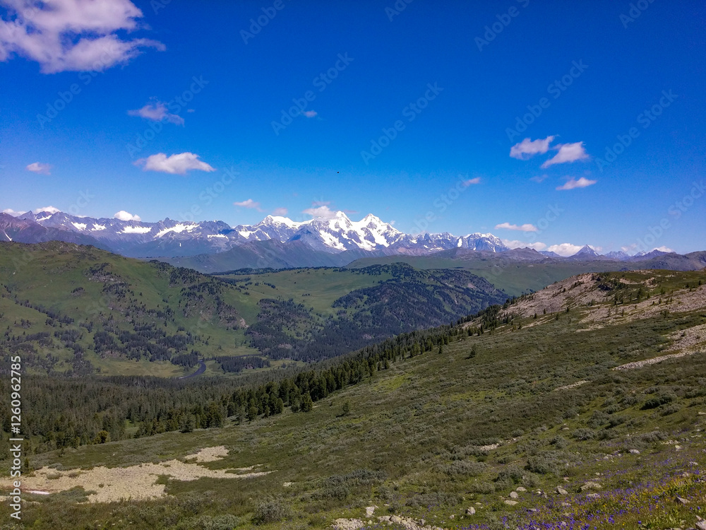 view of the gorge against the background of forest, mountains and blue sky with clouds view of the gorge against the background of forest, mountains and blue sky with clouds