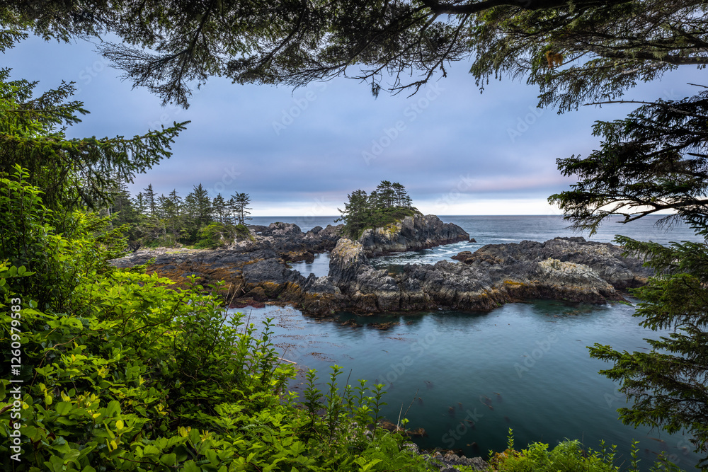 At blue hour ( sunrise), the rugged rocky shoreline overlooking the Pacific Ocean alongside the Wild Pacific Trail in Ucluelet, Vancouver Island, Canada. At blue hour ( sunrise), the rugged rocky shoreline overlooking the Pacific Ocean alongside the Wild Pacific Trail in Ucluelet, Vancouver Island, Canada.
