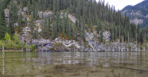 view of fir trees standing in a lake against the backdrop of mountains and a cloudy sky photo