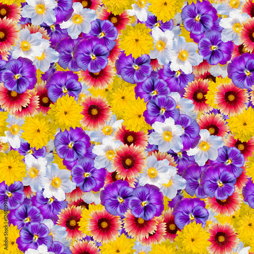 Fototapeta Naklejka Na Ścianę i Meble -  Vibrant seamless floral background with colorful flowers for design