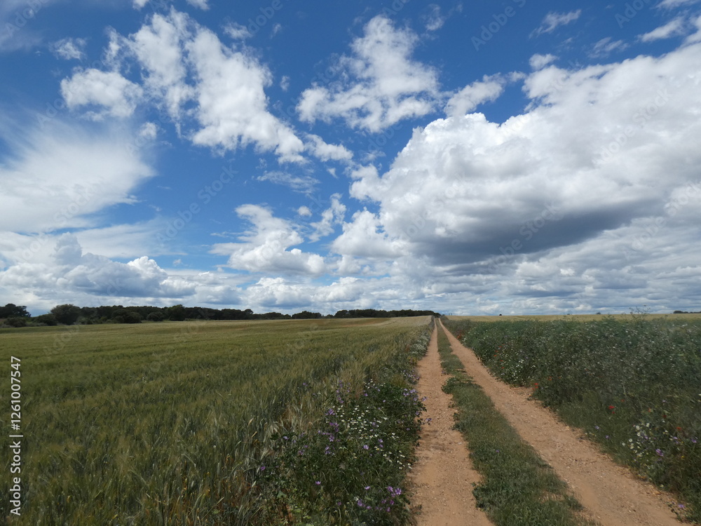 herault herault