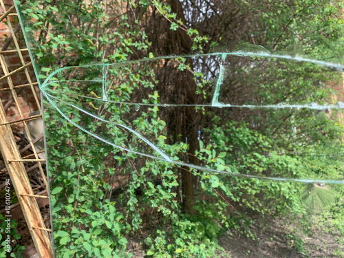 A cracked and scratched glass surface is visible amidst vibrant green foliage, indicating neglect or vandalism in this residential environment