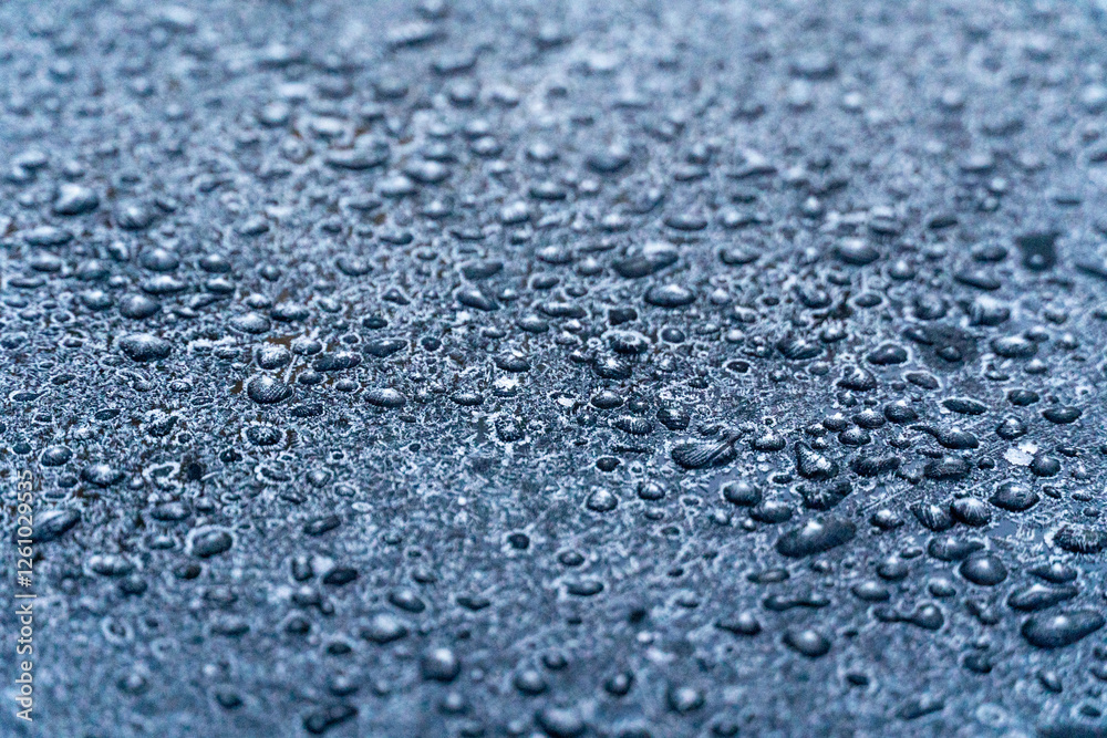 Obraz premium Small water droplets cling to a dark stone surface, glistening subtly in the soft light of early morning after rain