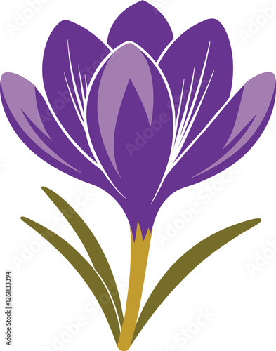 crocus flower vector silhouette illustration. Crocus vector sketch illustration isolated on white background (11).eps