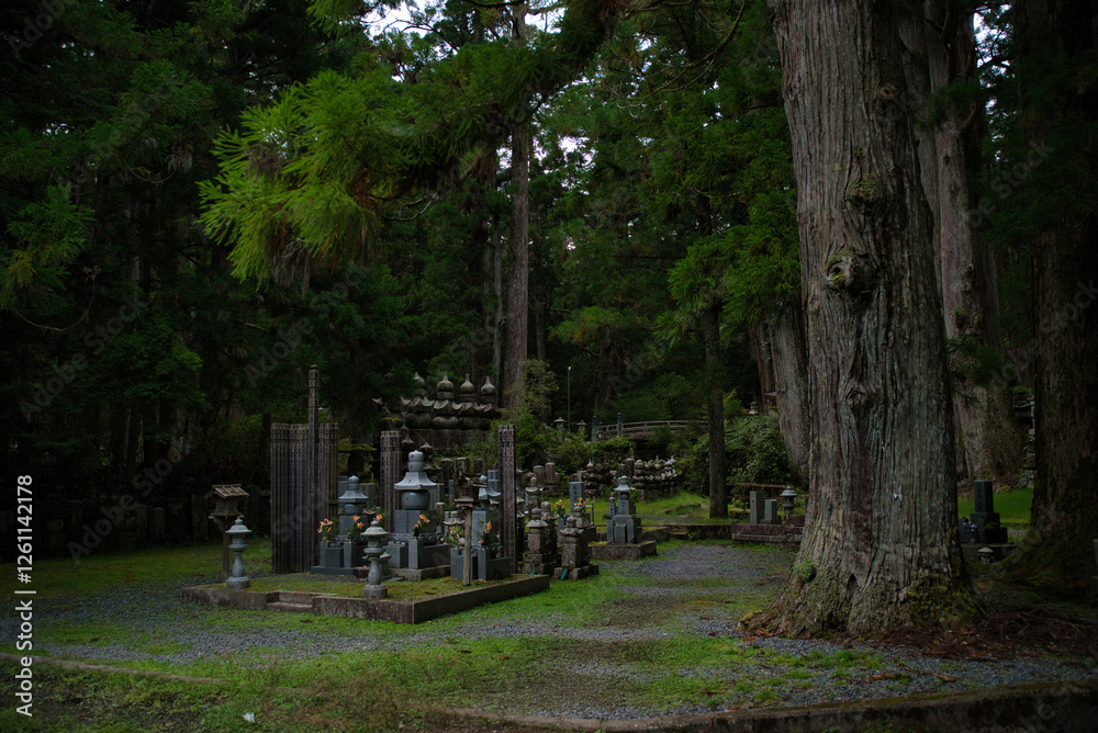 Cemetery Ridge Poster Póster Ancient cemetery at sunset inside a forest, on Mount Koya, Okuno ...