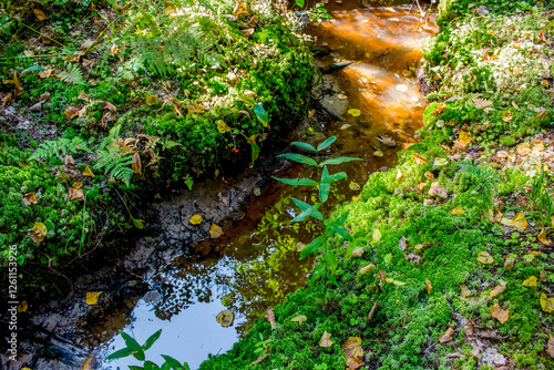 Small river 