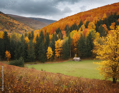 Autumn's Brushstroke Capturing Nature's Vibrant Landscapes for Timeless Beauty